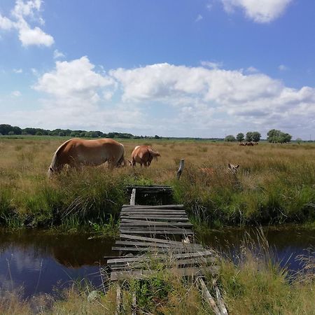 Dom Goscinny Ptaszarnia - Natura-Free Parking Świnoujście Εξωτερικό φωτογραφία