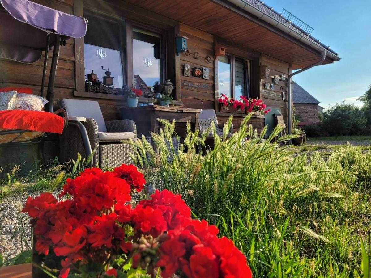 Dom Goscinny Ptaszarnia - Natura-Free Parking Świnoujście Εξωτερικό φωτογραφία